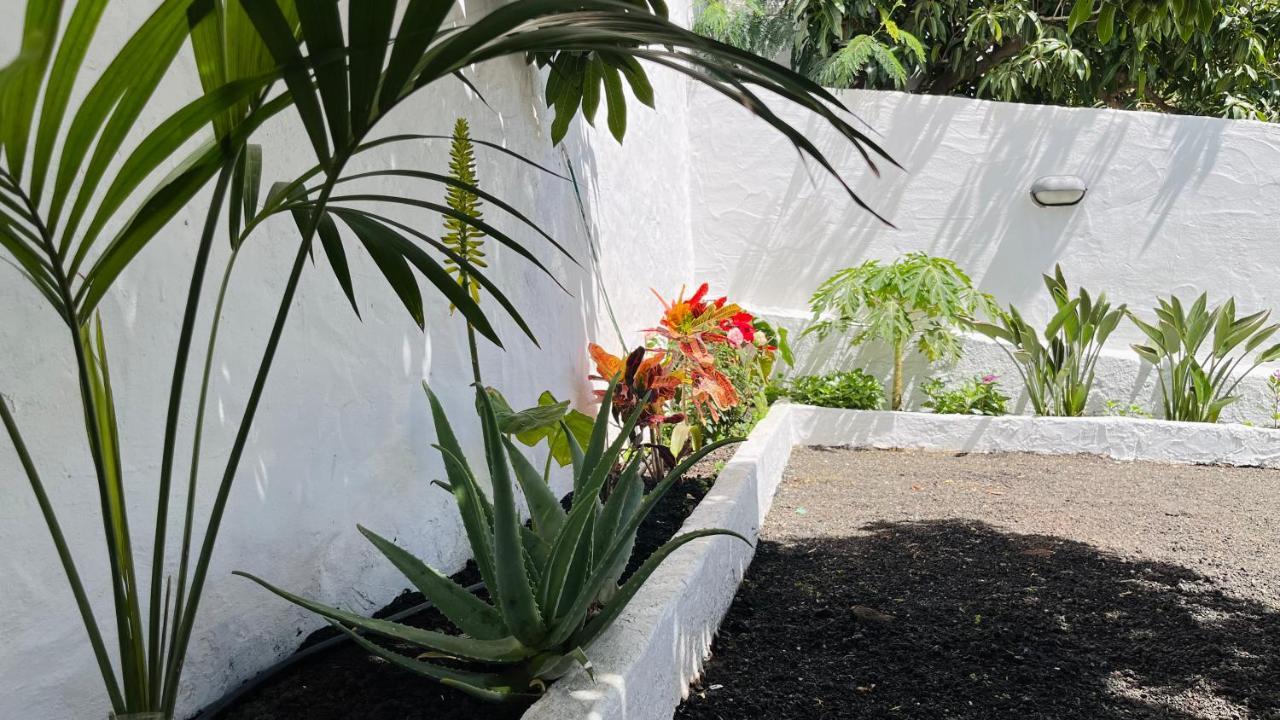 Jardin De La Suerte Villa Agaete  Buitenkant foto